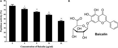 <mark class="highlighted">Baicalin</mark> Weakens Staphylococcus aureus Pathogenicity by Targeting Sortase B